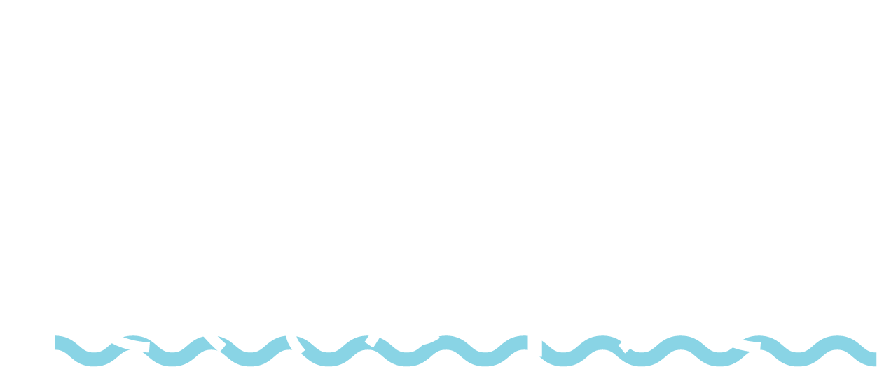 色んなわんこと⁡色んな思い出を⁡⁡たくさん作りたい